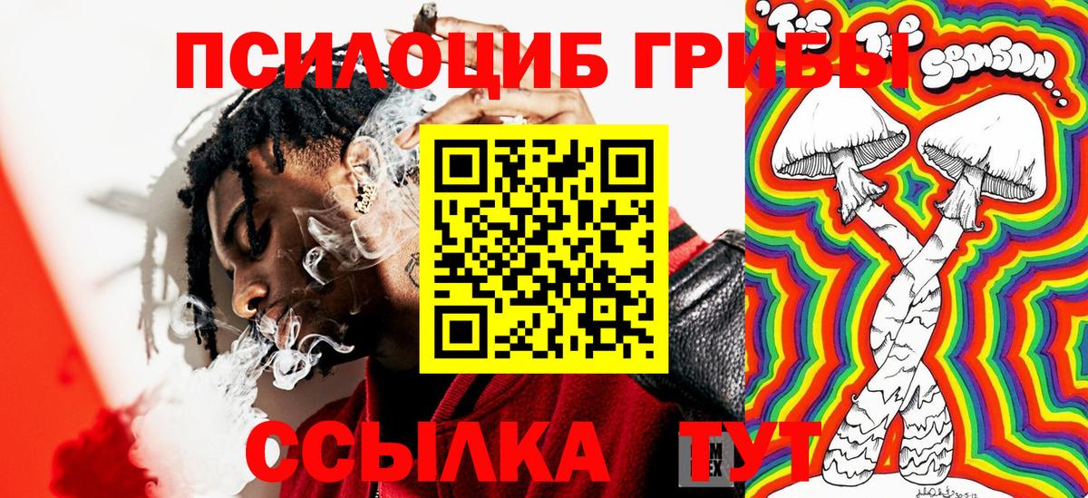 Псилоцибиновые грибы Psilocybe Донецк